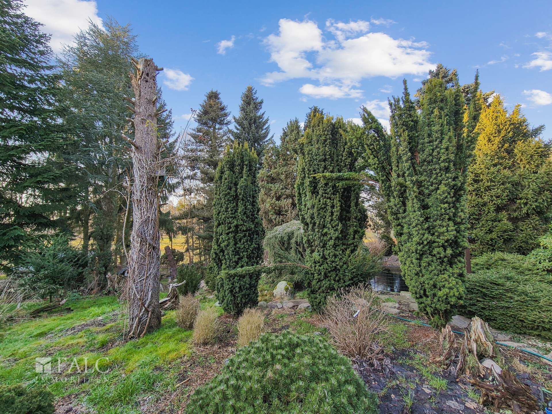 Garten mit Bäumen